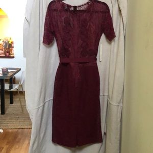 Knee length burgundy dress